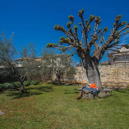 Luxurious Holiday In Heraki Croatia With Private Pool * Jakici